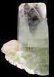Spectacular Zoned Apophyllite Crystal - India #44311-1